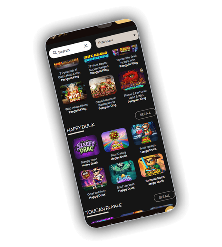 Logos of casino game studios supplying DiceSpin Casino including Play'n GO and Betsoft